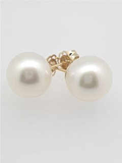 11.5mm, HIGH BUTTON S/SEA. 9KYG STUDS, Good Lustre