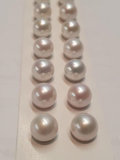 10-11mm FW RD,WHITE, NUCLEATED