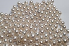 9mm NRD/OFF RD S/SEA, WHITE, B+