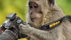FIXED HK